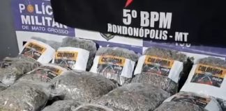 A Polícia Militar apreendeu 19 quilos de “supermaconha” e prendeu um trio por tráfico de drogas