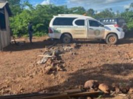 Dois idosos foram encontrados mortos em uma vila com o pescoço cortado em MT