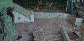 Um homem foi flagrado arrebentando a proteção de uma janela e entrando em uma residência para roubar na região do Morro da Luz; confira vídeo