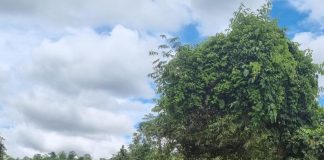 O homem que fugiu da PCE foi localizado e preso na Bolívia