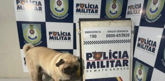 Uma mulher foi presa suspeita de sequestrar cachorro e cobrar dona de um pet shop em Cuiabá