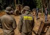 A Sema fechou uma área equivalente a 300 mil campos de futebol em Mato Grosso