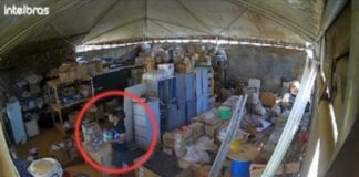 Policial à paisana impede um roubo e é atingido por um “tornozelado” recém-liberado da prisão; o criminoso também fica ferido; confira o vídeo