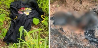 Dois cadáveres foram encontrados queimados e amarrados em uma área de mata em MT