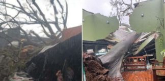 Temporal arrancou árvore histórica de restaurante tradicional em Mato Grosso; assista ao vídeo