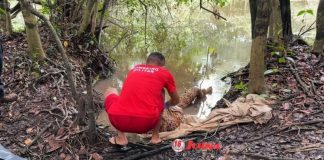 Cadáver de homem foi encontrado submerso com as mãos amarradas em MT