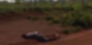 Um cadáver com marcas de tiro foi encontrado sem vida, com pés e mãos amarrados em MT