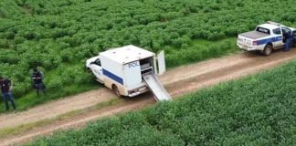 Um cadáver em estado de decomposição é descoberto com pés e mãos amarrados perto da BR-163