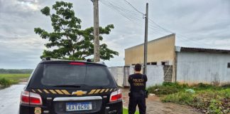 A Polícia Federal mirou em suspeito de armazenar 919 arquivos com abuso sexual infantil em MT