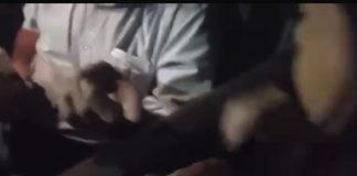 Um idoso de 73 anos foi flagrado oferecendo R$ 50 a menores de idade em troca de sexo; confira vídeo