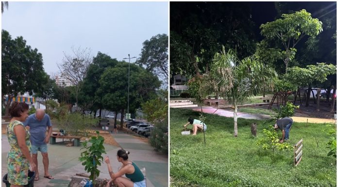 Moradores se juntam em iniciativa para adotar árvores e arborizar praça de Cuiabá: “plantamos mais de 80 mudas”