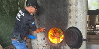 Polícia Civil incinerou cerca de uma tonelada de maconha apreendida em MT