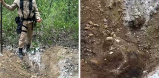 Politec reconhece três cadáveres localizados em um suposto cemitério clandestino do CV