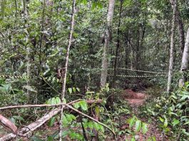 Cadáver achado em cemitério ilegal é de um jovem de 15 anos