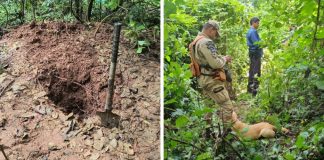 Forças de segurança descobrem dois cadáveres sepultados em um cemitério ilegal de uma organização criminosa