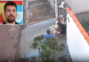 Delegado: “O dono agiu de forma covarde; ele teria conseguido prevenir o ataque”; vídeo do ataque viralizou na internet