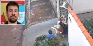 Delegado: “O dono agiu de forma covarde; ele teria conseguido prevenir o ataque”; vídeo do ataque viralizou na internet