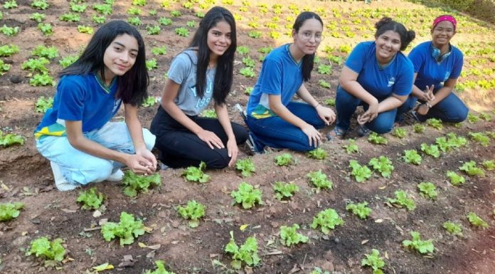 Estudantes de Poconé ganham prêmio em nível nacional com iniciativa de hortas comunitárias e estímulo à autonomia alimentar