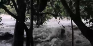 Bombeiros encontram o cadáver de uma mulher que desapareceu em rio após acidente em MT