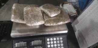 Uma mulher foi detida ao tentar entrar em um presídio portando quatro pacotes de maconha em MT
