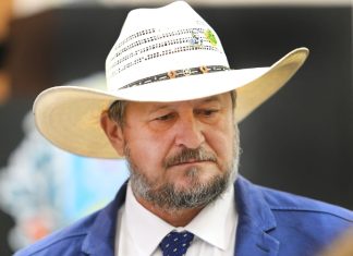 Cattani imitou vereador, mas usou um motivo falso em projeto para proibir investimento no carnaval de 2025