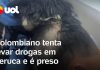 Um homem é detido no aeroporto da Colômbia ao tentar transportar drogas disfarçadas em uma peruca