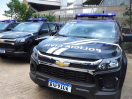 85% das mulheres assassinadas em 2024 estavam em plena idade produtiva, aponta relatório da Polícia Civil foto: PC-MT