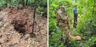 Três pessoas afetadas foram reconhecidas em cemitérios clandestinos localizadas em Mato Grosso