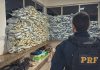 PRF Apreende 544 kg de Agrotóxico Ilegal e Prende Motorista na BR-163