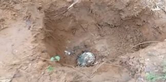 Duas ossadas são encontradas em suposto cemitério clandestino em Várzea Grande
