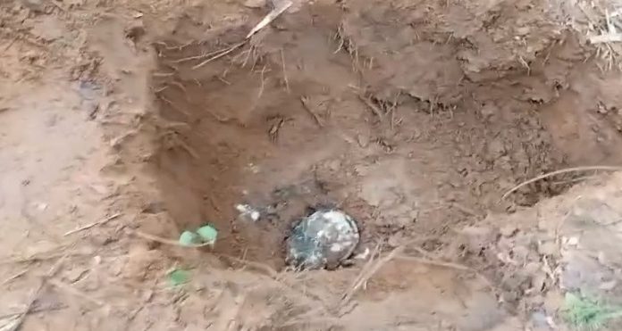 Duas ossadas são encontradas em suposto cemitério clandestino em Várzea Grande