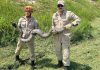 Corpo de Bombeiros Resgata Jiboia de 4 Metros e Cão Pitbull em Mato Grosso
