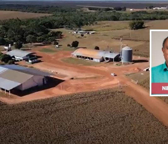 Dono de Sete Fazendas e Ex-Vice-Prefeito de Primavera Entra em Recuperação Judicial para Renegociar R$ 92 Milhões em Dívidas