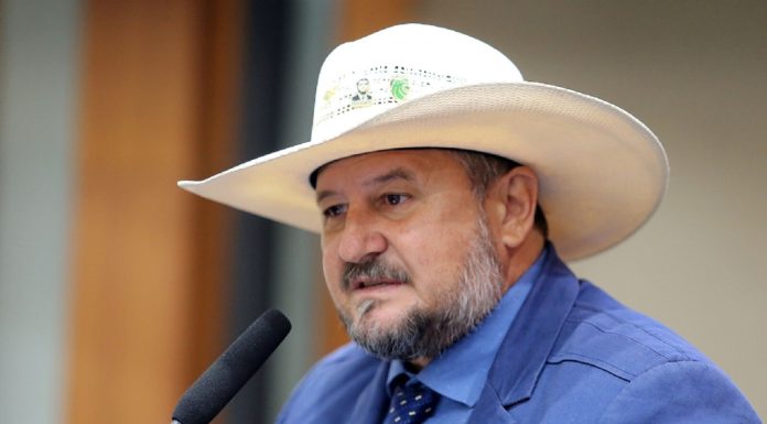 Cattani afirma que Eduardo Bolsonaro deixou o Brasil com medo de prisão e alerta para início de ditadura