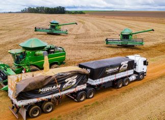 Mato Grosso deve ultrapassar 110 milhões de toneladas de grãos em 2025, projeta Mauro Mendes