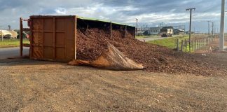 Carreta carregada com cavaco tomba em rotatória da BR-163 e espalha carga na pista