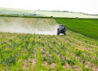 MPF Critica Projeto de Lei que Reduz Distância para Aplicação de Agrotóxicos em Mato Grosso