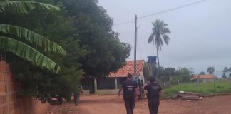 Operação Ramus Combate Grupo Criminoso Especializado em Furtos e Adulteração de Veículos