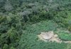 Justiça mantém decisão que obriga Funai a revisar limites da Terra Indígena Lagoa dos Brincos