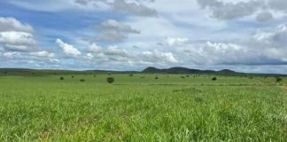 Justiça Anula Compra de Fazendão por Preço Subvalorizado em Negócio de R$ 130 Milhões