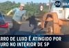 Um touro persegue um homem e colide com um carro onde está uma criança em São Paulo; confira o vídeo