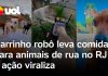 Robô transportador entrega refeições para cães e gatos abandonados em uma área do Rio de Janeiro; confira o vídeo