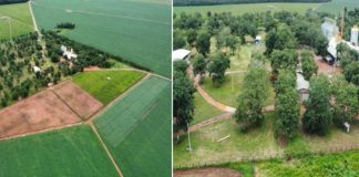 Família Petry, proprietária de 3 mil hectares no RJ, entra em recuperação judicial com dívidas de R$ 75 milhões