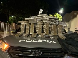 Mulher é Presa por Tráfico de Drogas Próximo a Creche em Nova Mutum