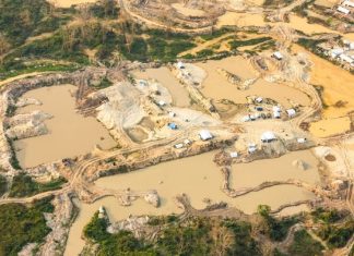 Defensoria Pública da União Cobra Retirada Imediata de Garimpeiros da Terra Indígena Sararé, em MT