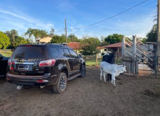 PF cumpre mandados em Mato Grosso contra grilagem de terras e fraudes fundiárias