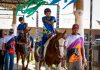 Seduc mantém sessões de equoterapia durante as férias para alunos com necessidades especiais