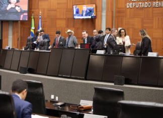 ALMT aprova redução de 30% na contribuição do Fethab sobre abate de fêmeas bovinas e bubalinas