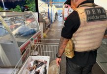 Polícia Civil apreende três toneladas de pescado em operação contra comércio ilegal na Feira do Porto