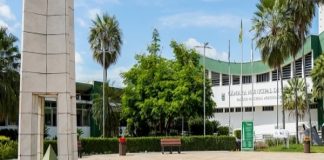 Câmara de Cuiabá aprova moção de repúdio por agressões contra jornalista cuiabana e prefeita de Mato Grosso Foto: Jessé Soares